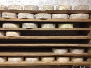 Il nostro formaggio - Vicini Azienda Agricola