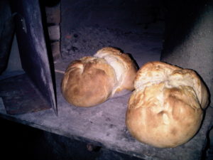 Il nostro pane - Vicini Azienda Agricola